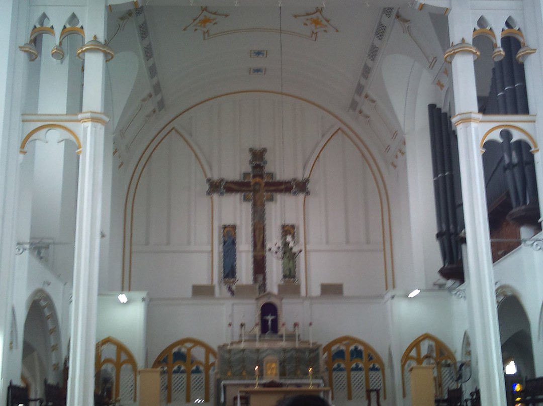 Cathedral of the Immaculate Conception景点图片