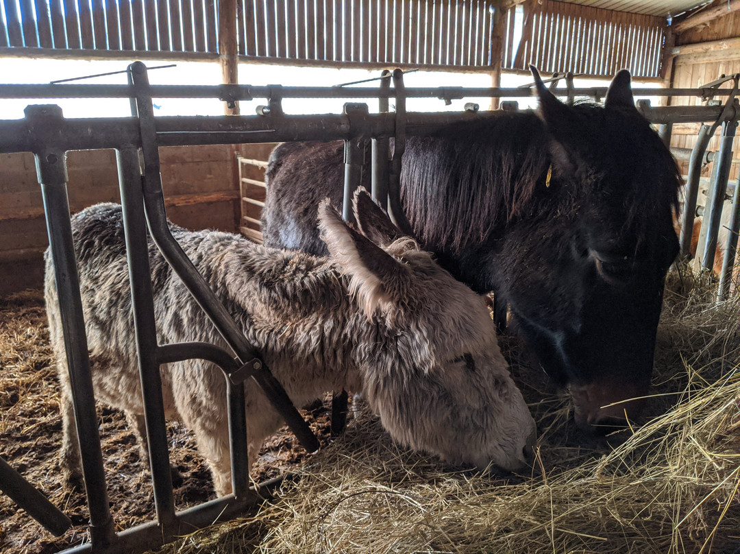 La Ferme du Rolland主图