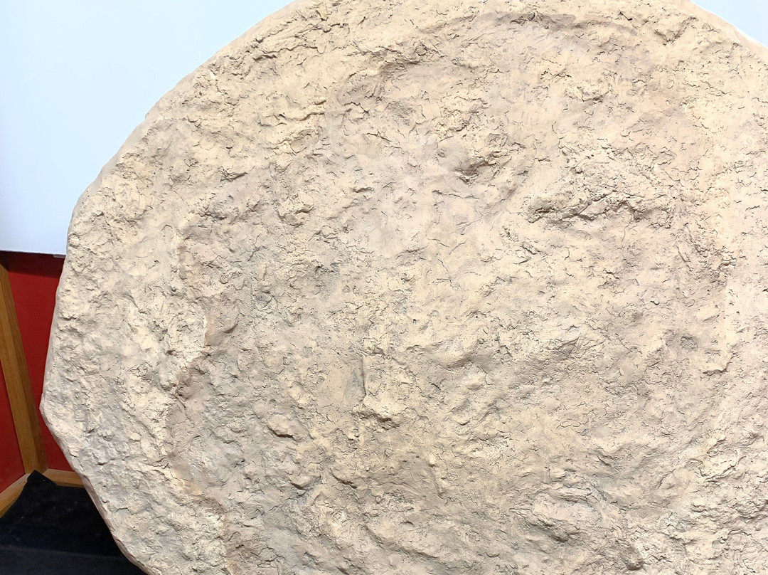 Shoshone Museum-Shoshone必去景点