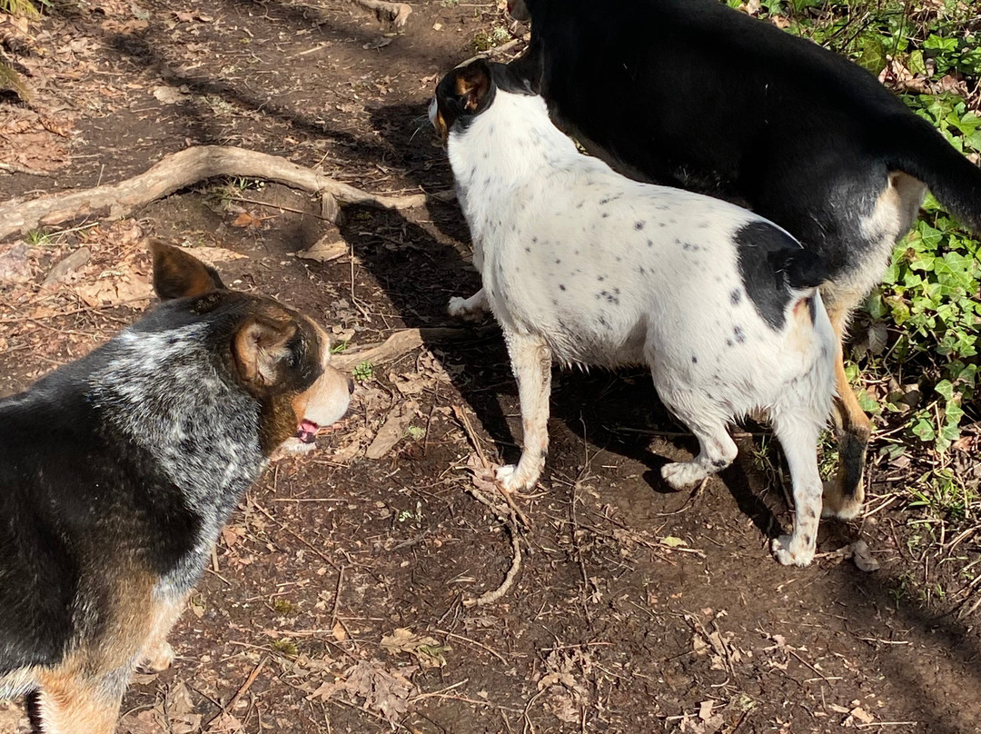 Clearwater Park-斯普林菲尔德必去景点