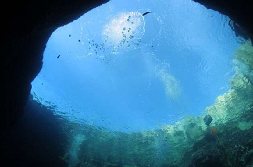 Dive Smart Gozo景点图片