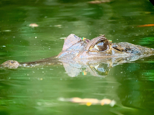 Sabina Tour-明多必去景点