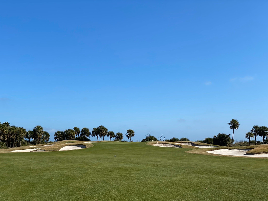 The Golf Courses of Palmetto Dunes景点图片