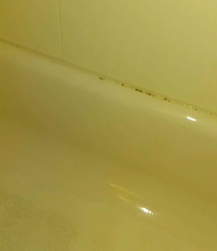 Hampton Inn White House主图