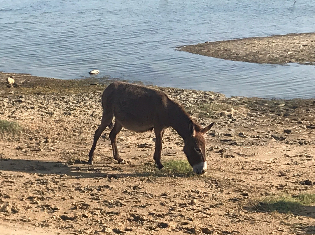 Mannar Island-马纳尔必去景点