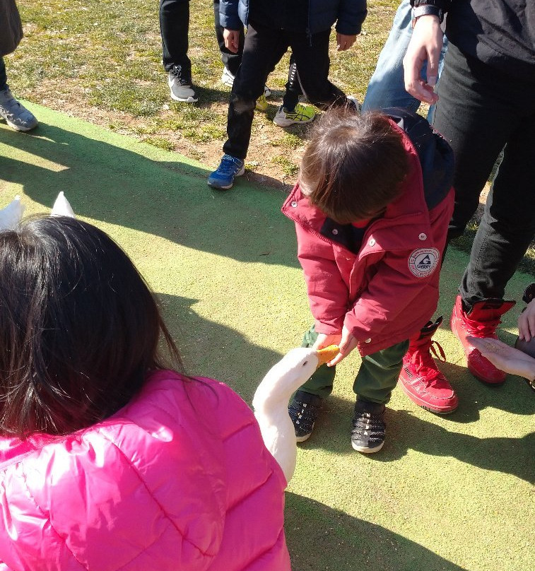 Narita Yume Farm-成田市必去景点