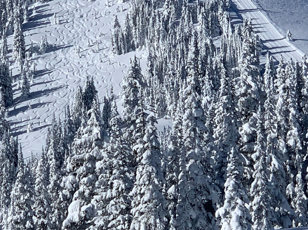 Cariboo SnowCat Skiing-维尔蒙特必去景点
