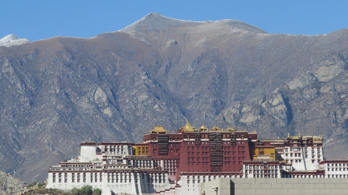 新鼎大酒店-酒店景观