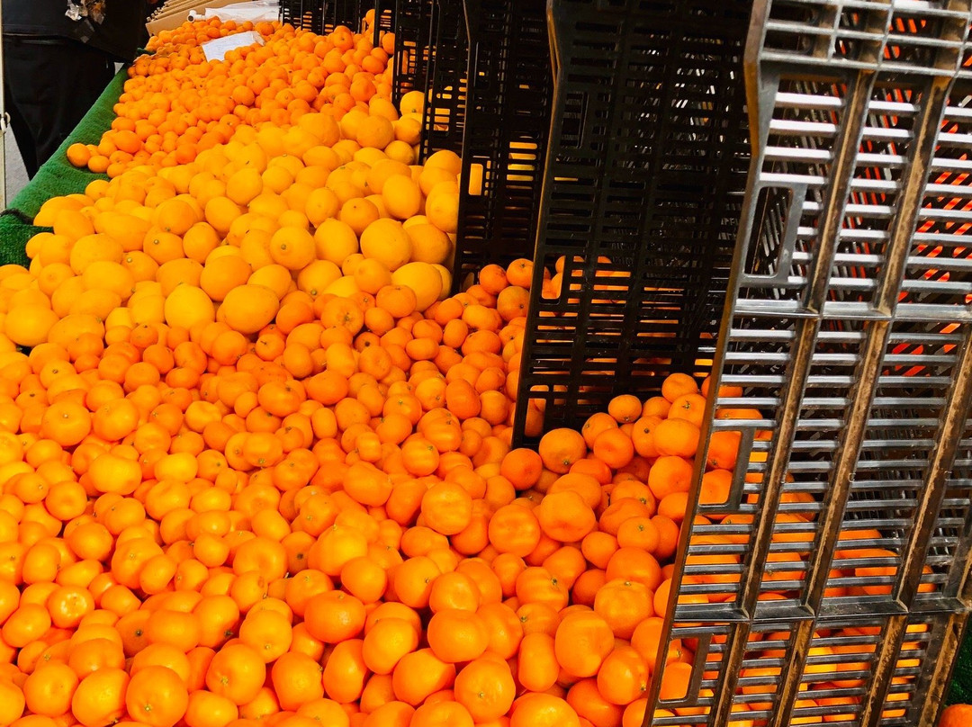 圣莫妮卡农贸市场-圣莫尼卡必去景点