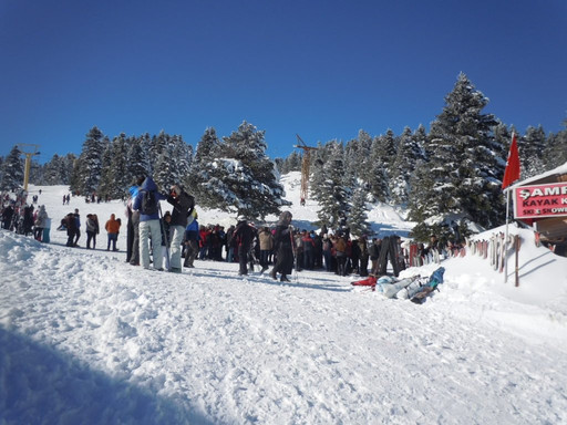 Brookside Tours-库萨达斯必去景点