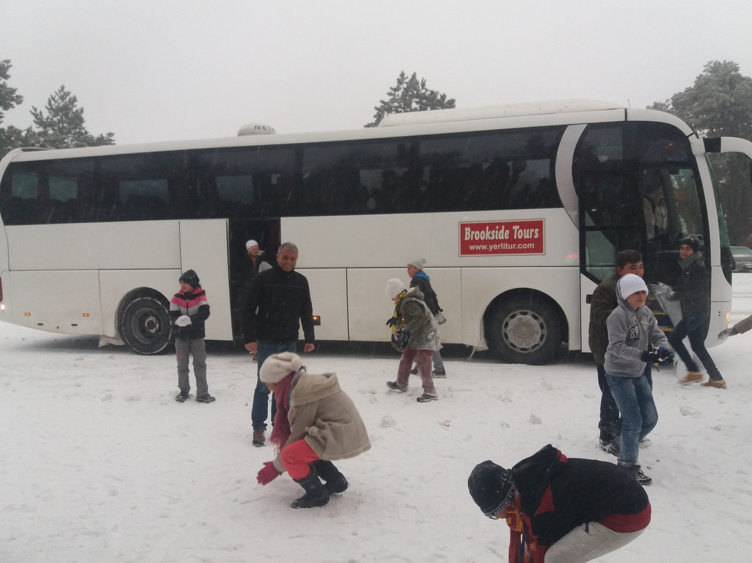 Brookside Tours-库萨达斯必去景点