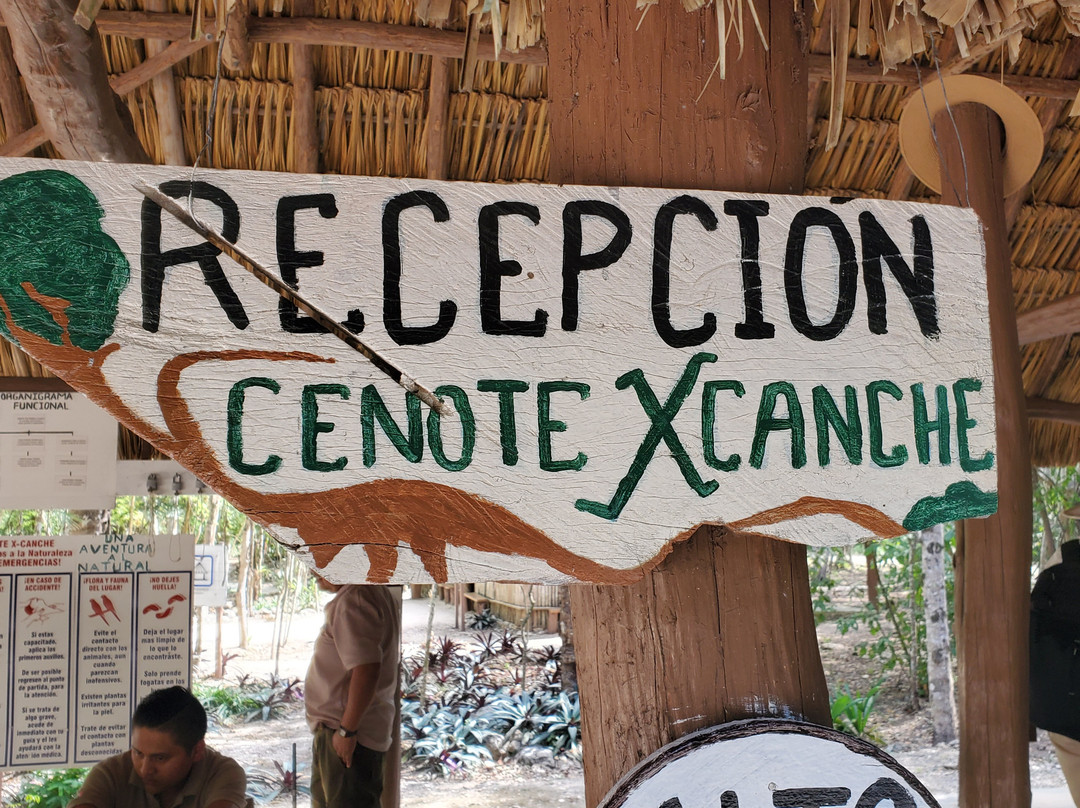 X'Canche Cenote景点图片