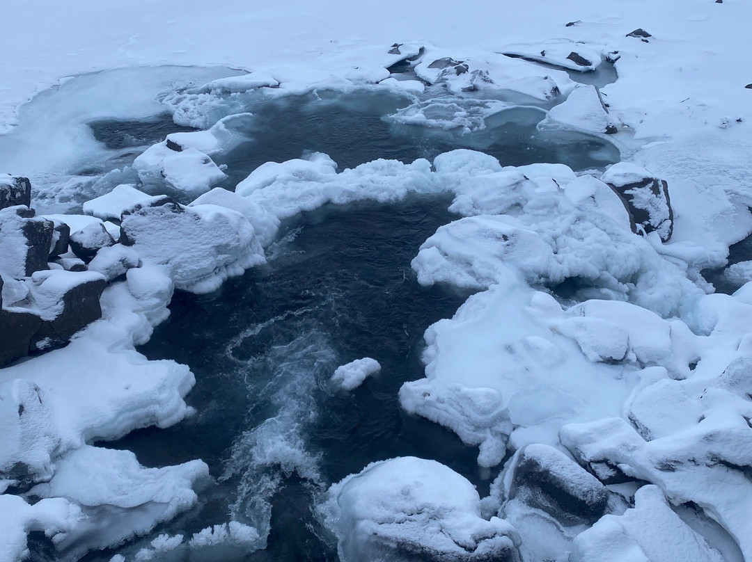 Reykjavik Private Tours & Transfers景点图片