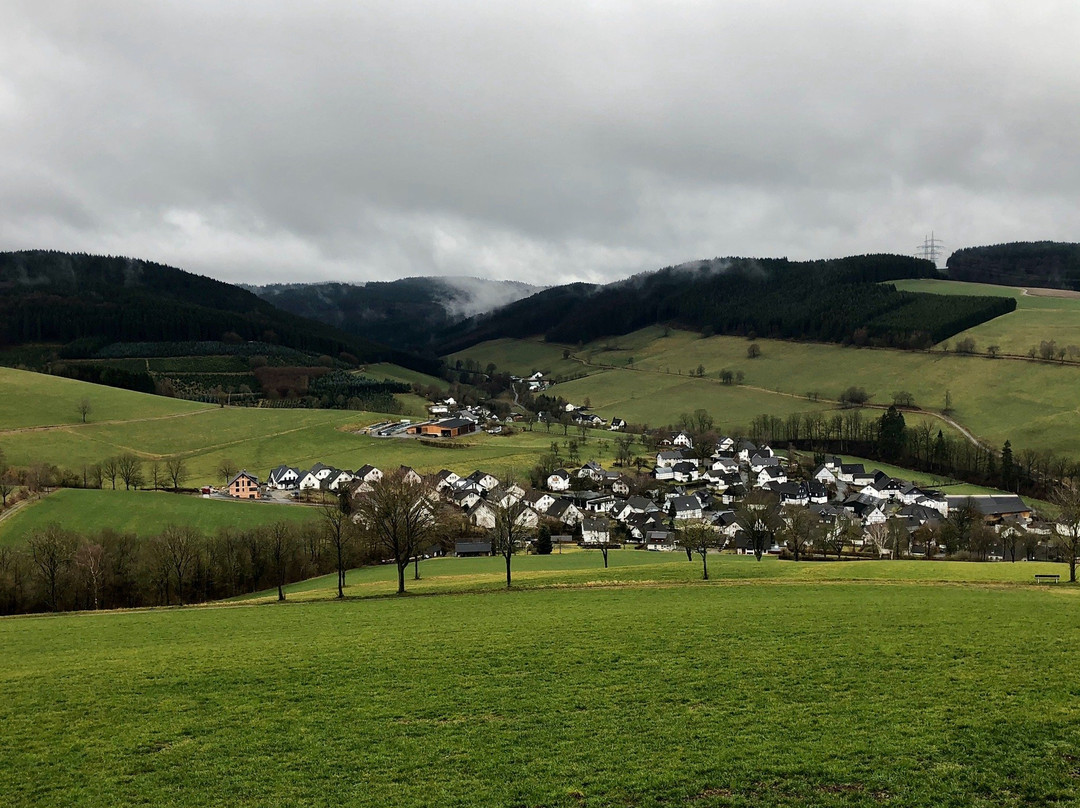 Wüllner's Landgasthof主图