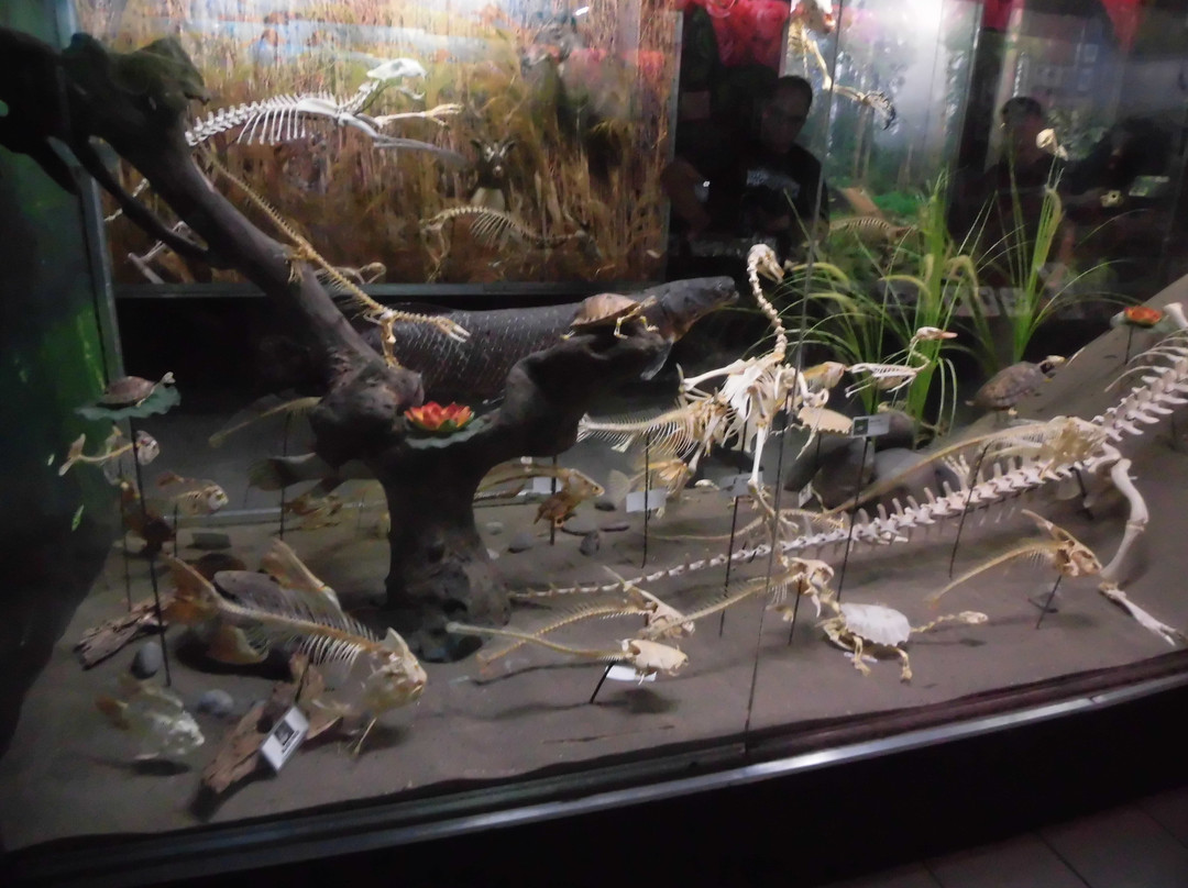 D' Bone Collector Museum-达沃必去景点