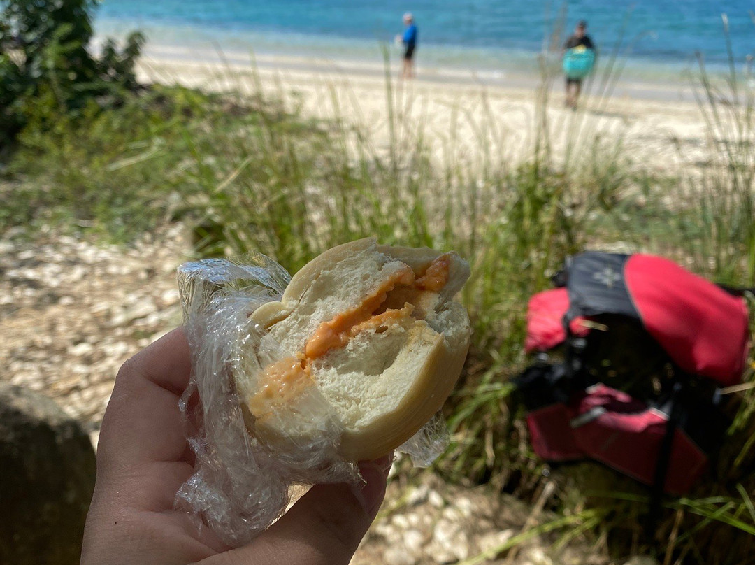 Culebra Island Adventures-库莱布拉岛必去景点