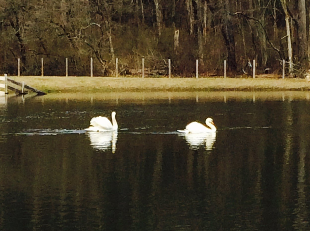 Quail's Covey Bed & Breakfast主图