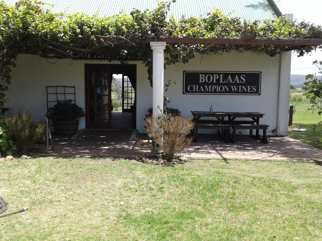 Boplaas Garden Route Tasting Room-克莱恩布拉克河必去景点
