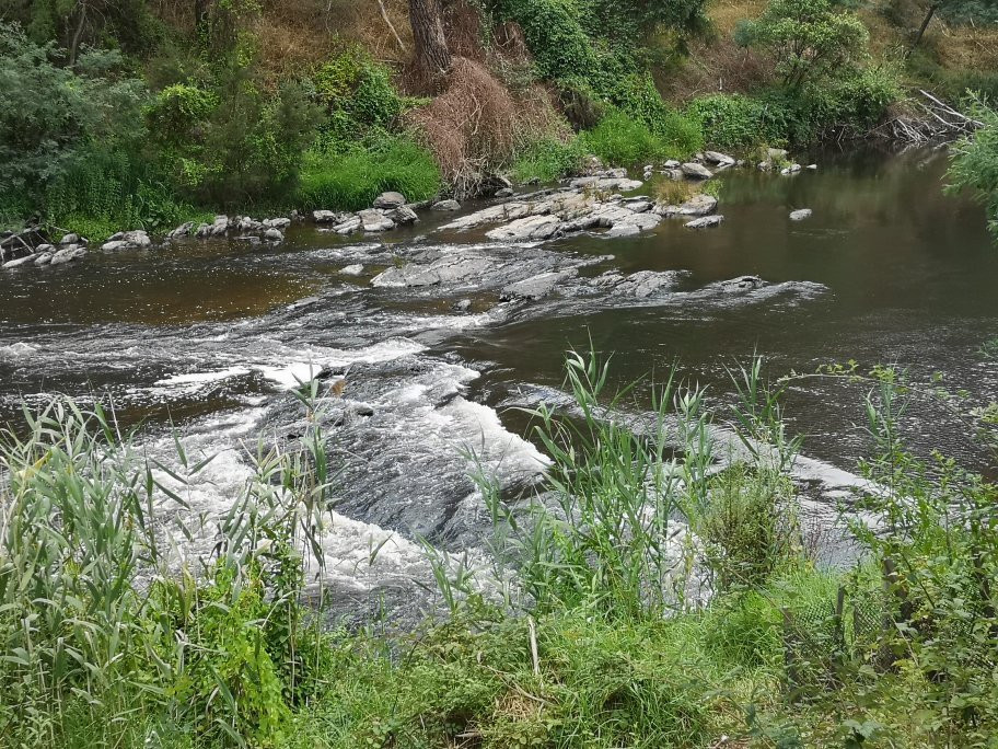 Warrandyte River Reserve景点图片