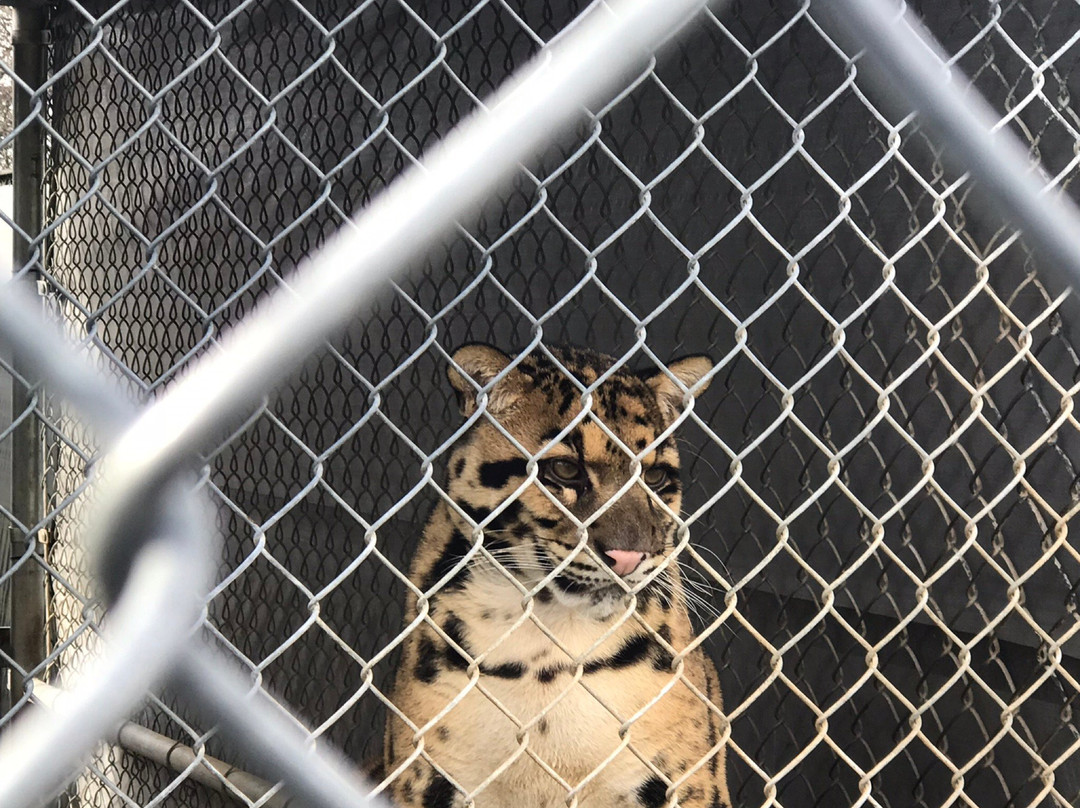 The Barry R. Kirshner Wildlife Foundation景点图片