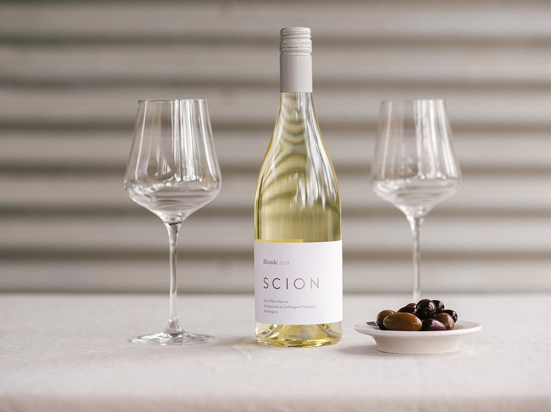 Scion Wine景点图片