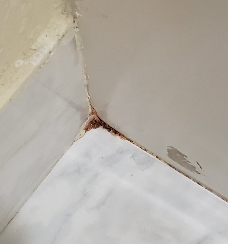 AmericInn by Wyndham Tomah主图