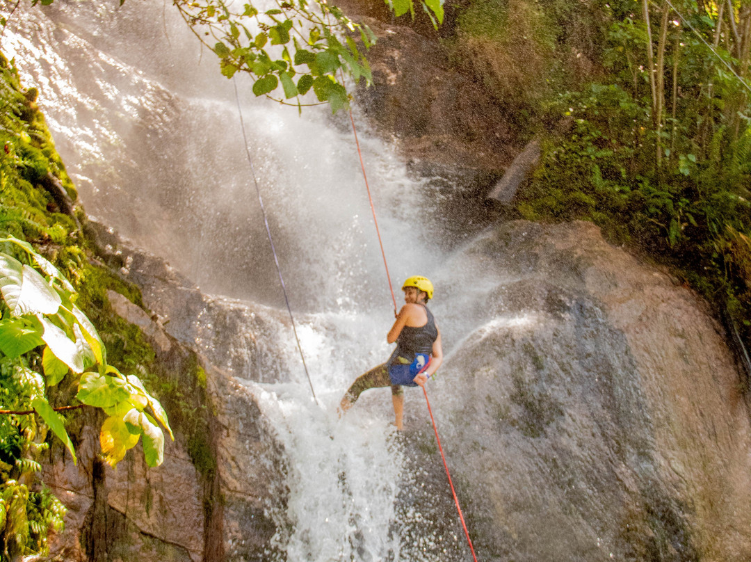 Cerrado Vertical-巴西利亚必去景点