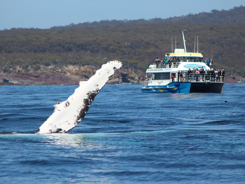 Cat Balou Cruises-伊登港必去景点