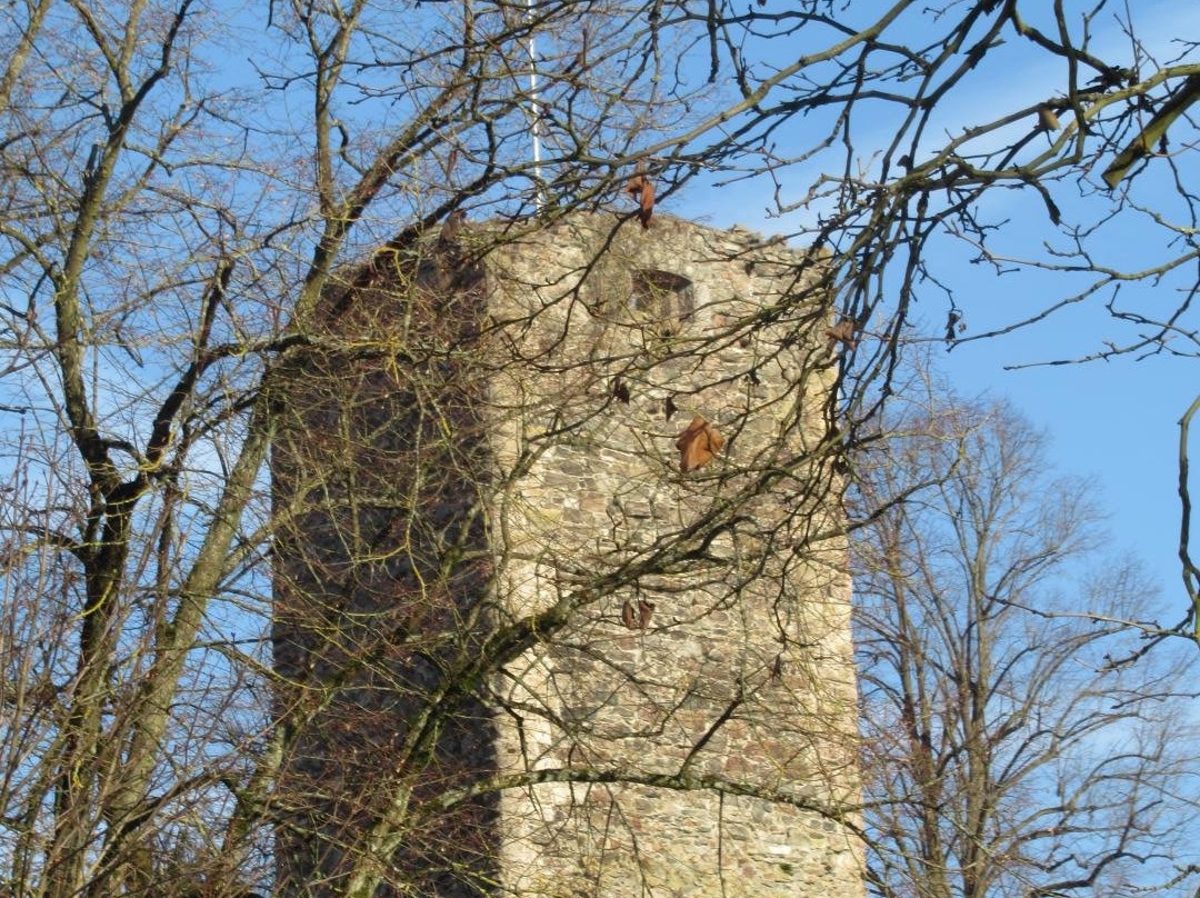 Ruine Laufenburg景点图片