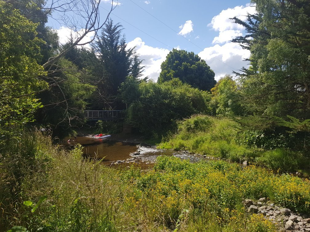 Orokonui Lagoon Walk-Waitati必去景点