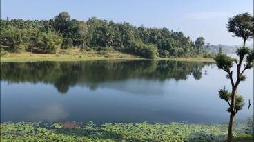 Karapuzha Village Resort-酒店景观