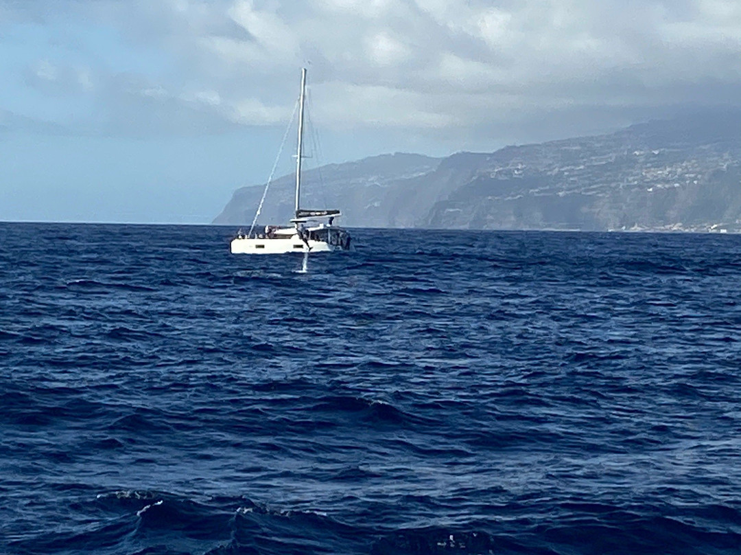 Seaborn Catamaran-沙尔必去景点