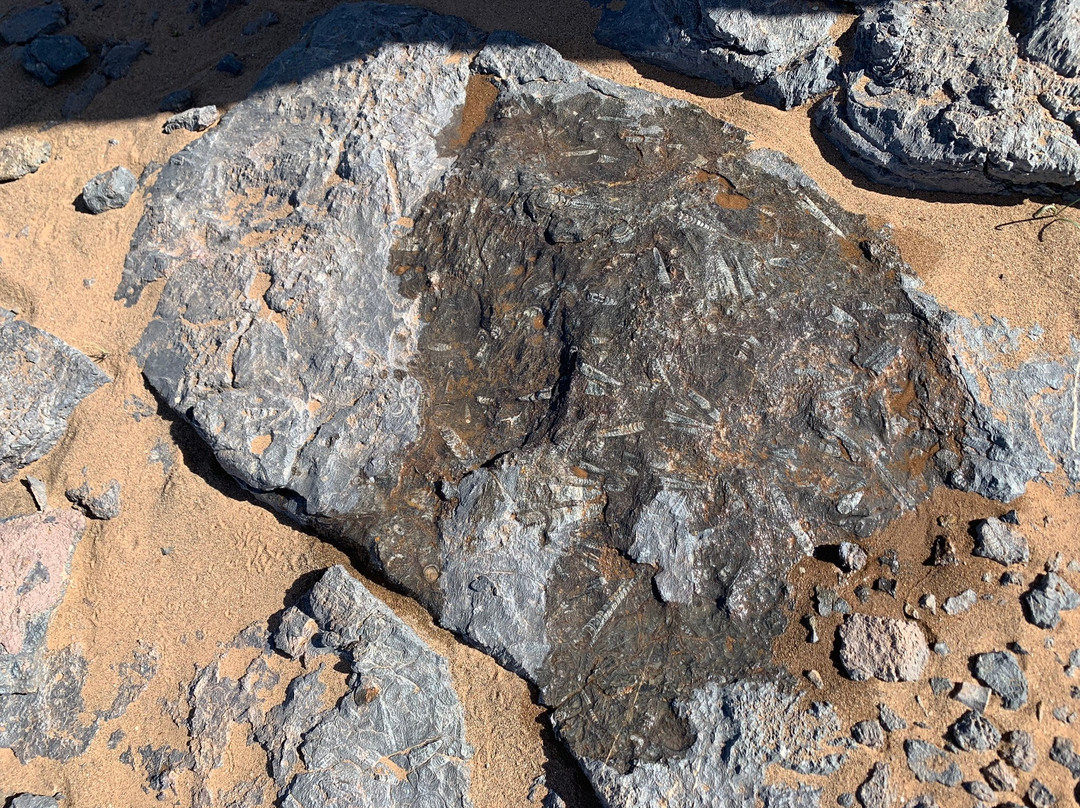 Nationalpark D’Iriqui-Tata必去景点