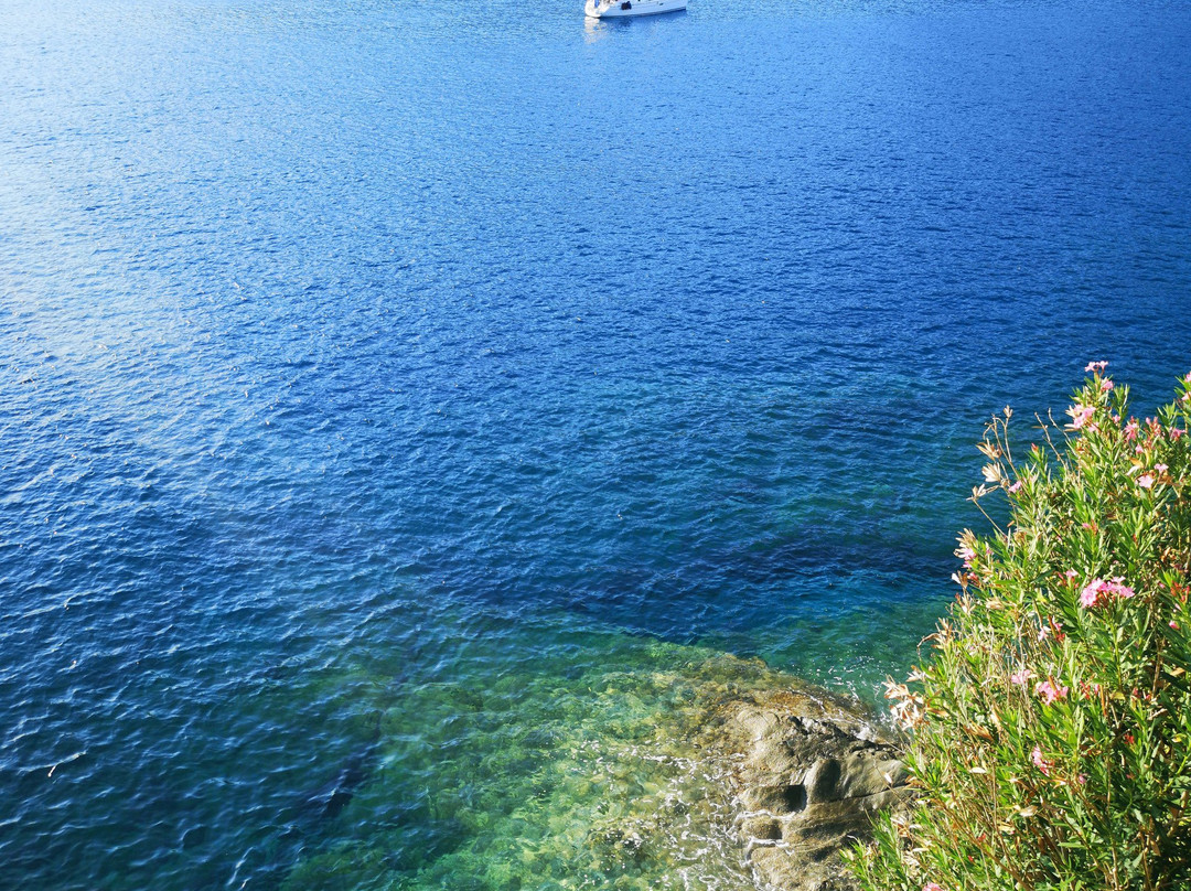 Sea View Apartments Cafe and Cocktail Bar主图