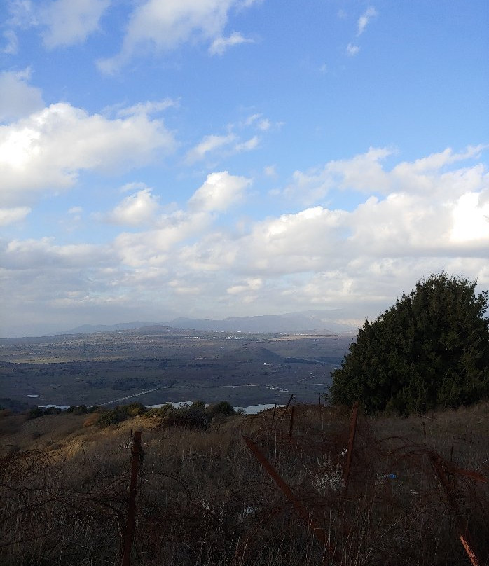 Mount Bental景点图片