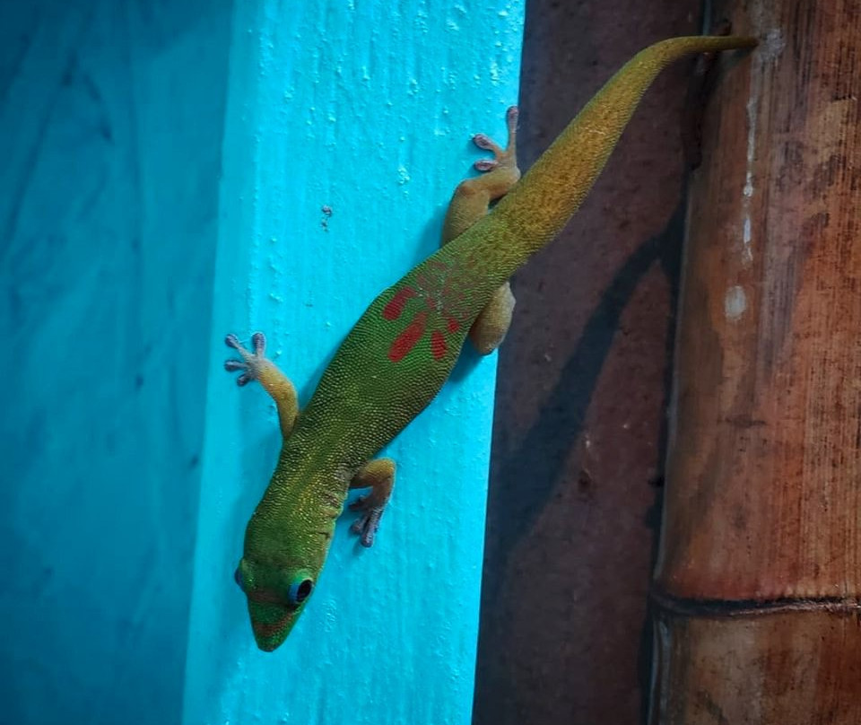 蜻蜓农场-疗伤艺术中心主图