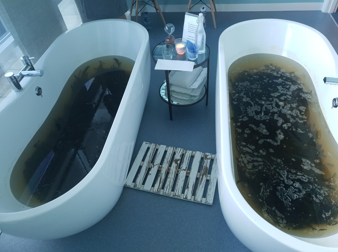 Sea Haven Therapy景点图片