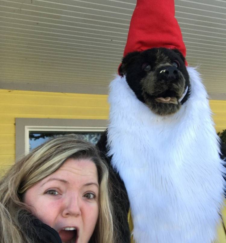 Northshire Bookstore-曼彻斯特必去景点