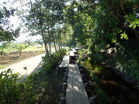 Konoyama Momoyama Park-我孙子市必去景点