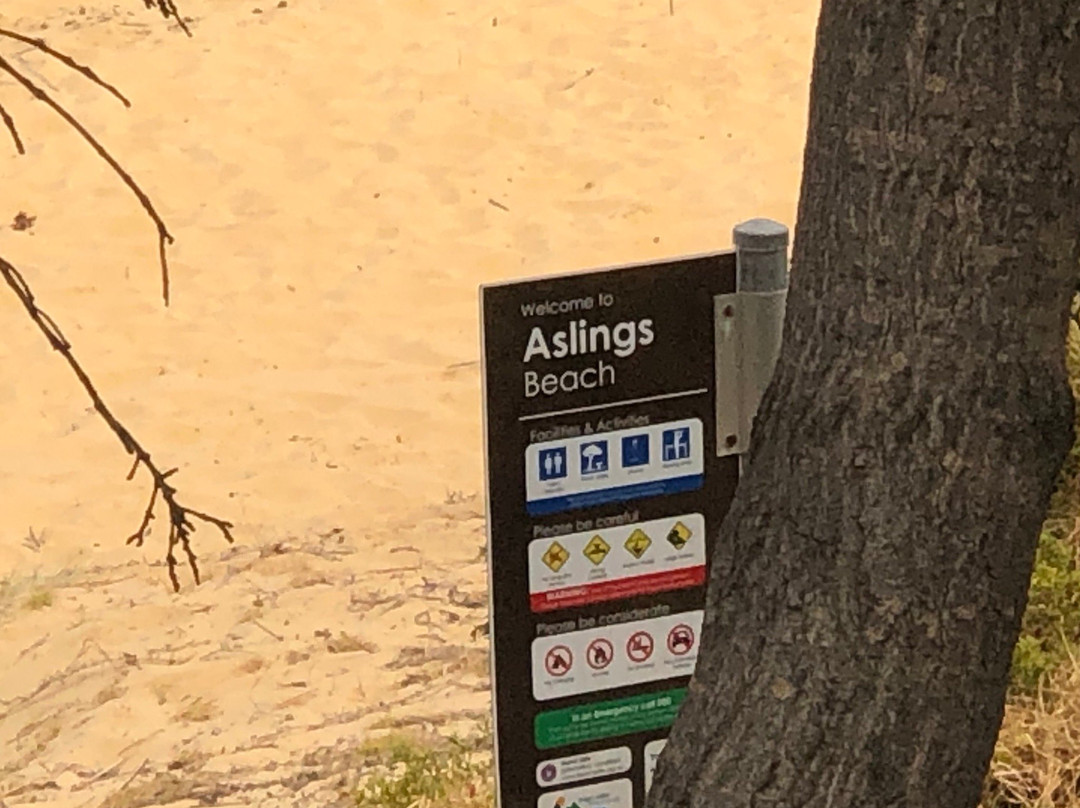 Aslings Beach Boardwalk-伊登港必去景点