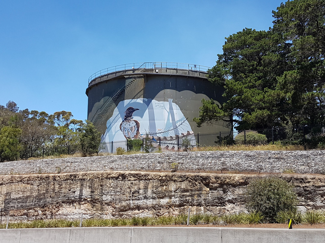 Lyrebird Mural-温特沃斯瀑布必去景点