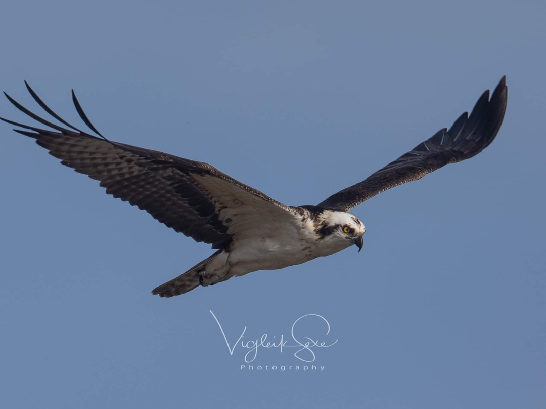 5 Rivers - Alabama's Delta Resource Center-Spanish Fort必去景点