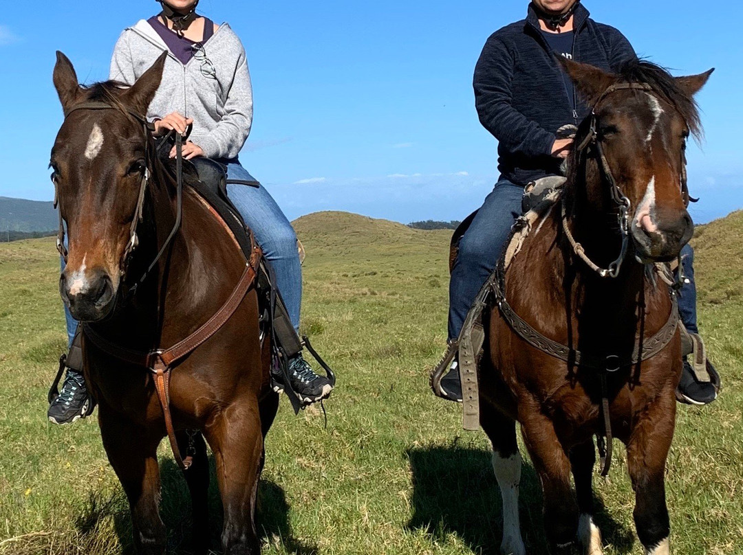 鲁达罗大农场-威可洛亚必去景点