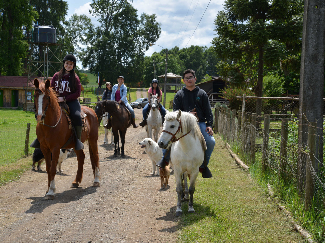 Equspatagonia-特木科必去景点