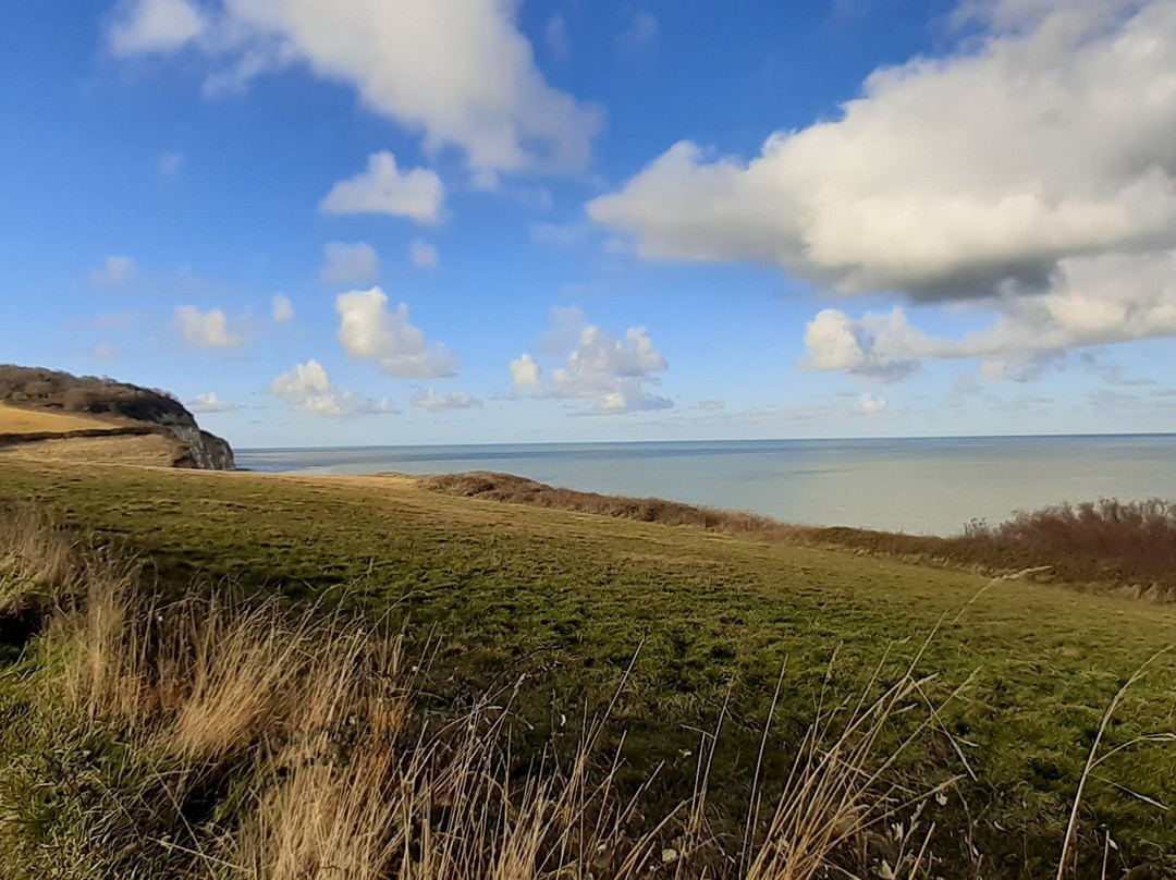 Plage de Pourville景点图片