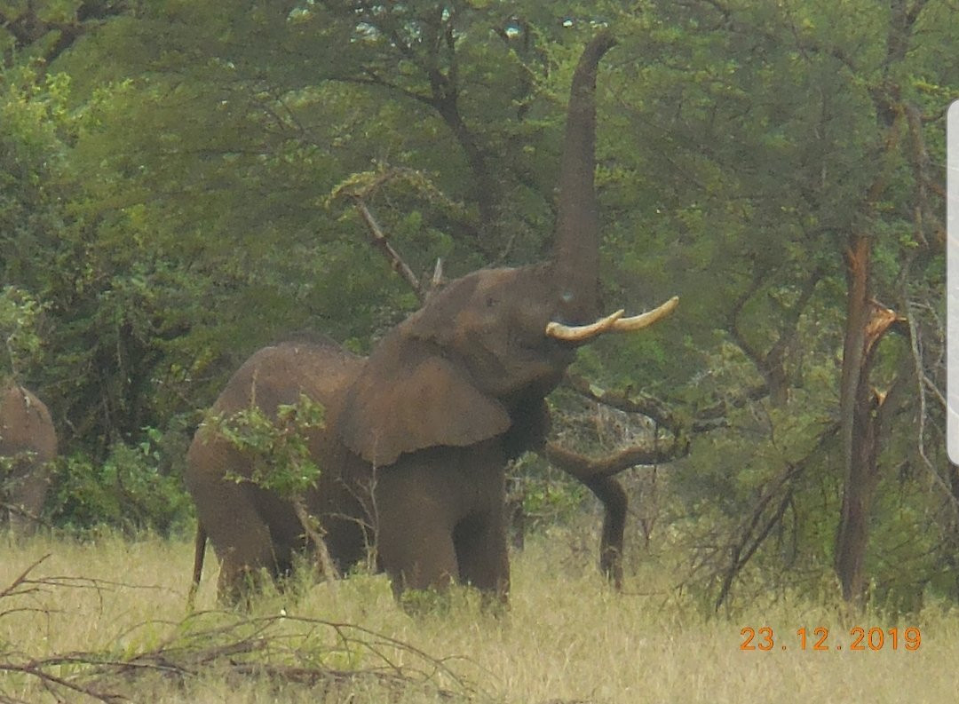 Siringeti Africa Safari -  Day Tour-姆万扎必去景点