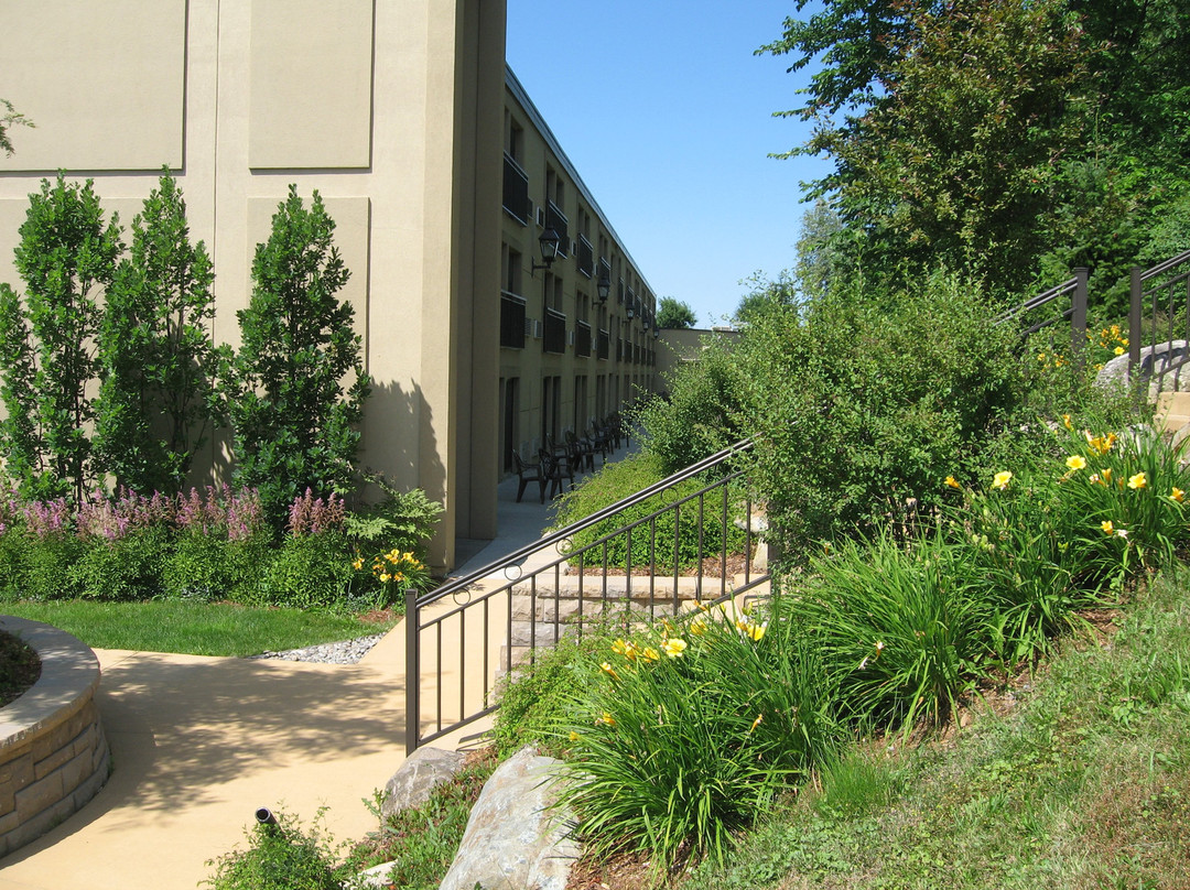 Hotel Le President主图