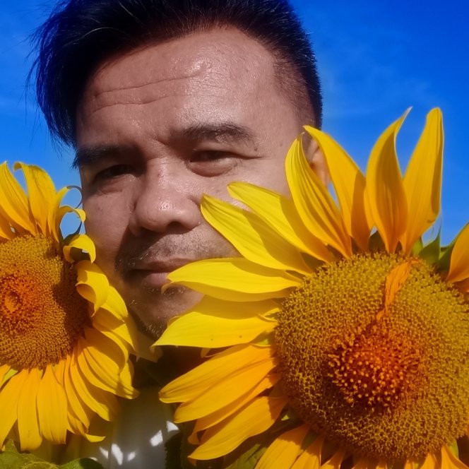 Manee Sorn Sunflower Field景点图片