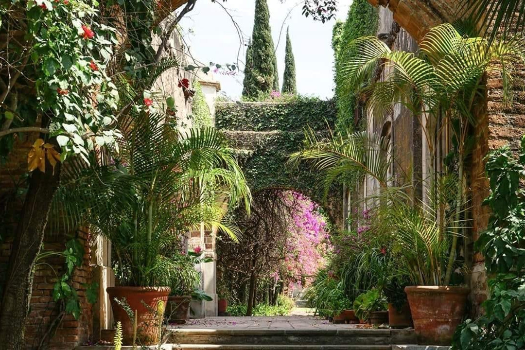 Finca San Javier主图