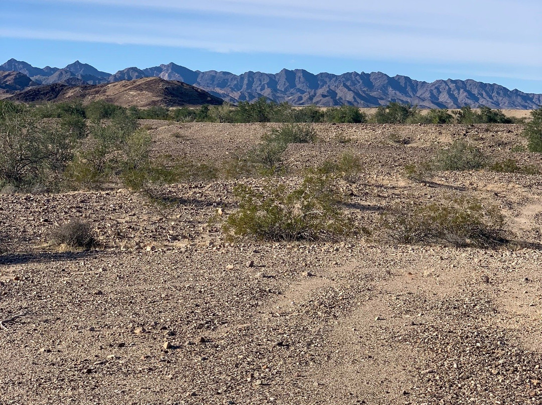 Blythe Intaglios-Blythe必去景点